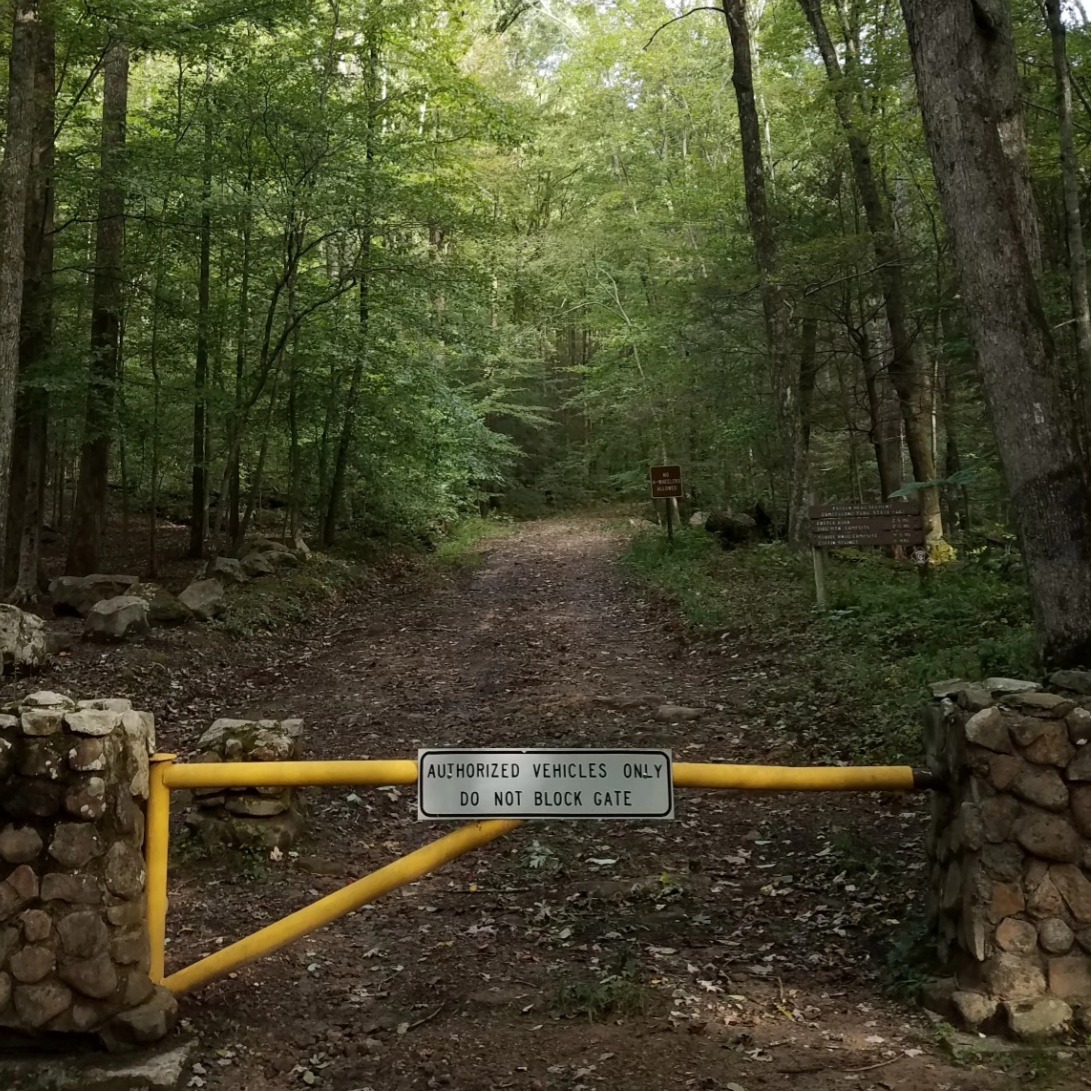 Preparing for Barkley Fall Classic: Facing the Mountain Again
